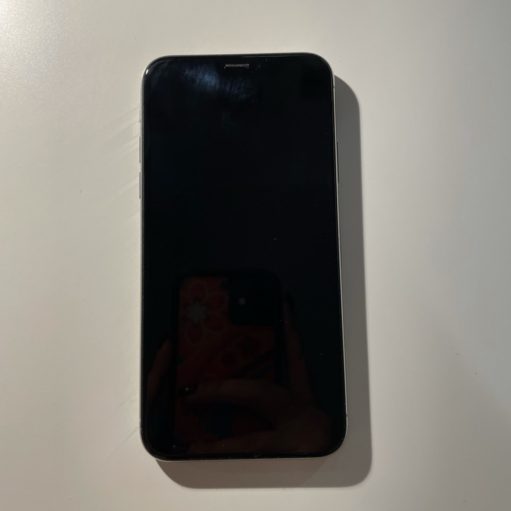 iPhone X with case